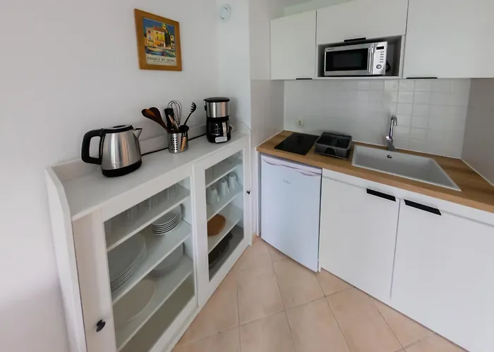 Διαμέρισμα Le Soleil D'or 4 Pers Parking Wifi *